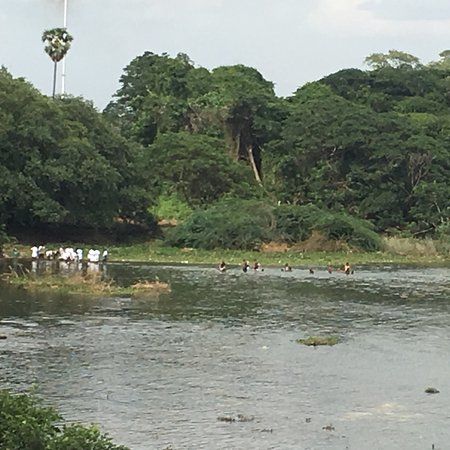 Cauvery River